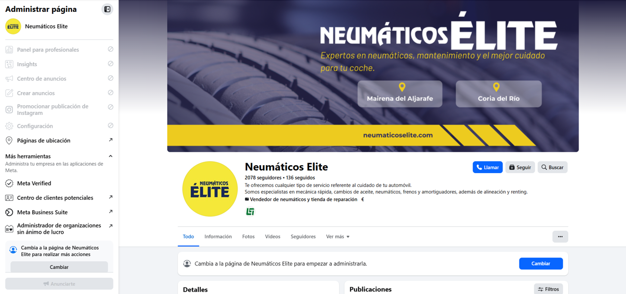 Neumaticos elite 1