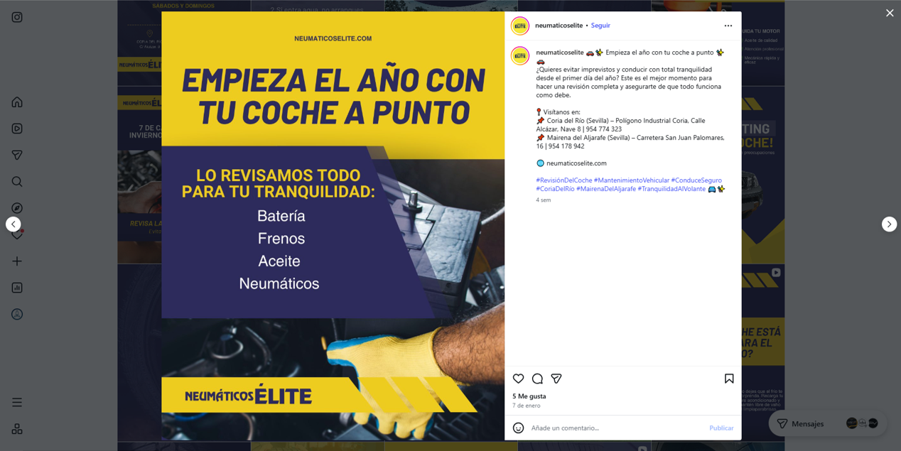 Neumaticos elite 3