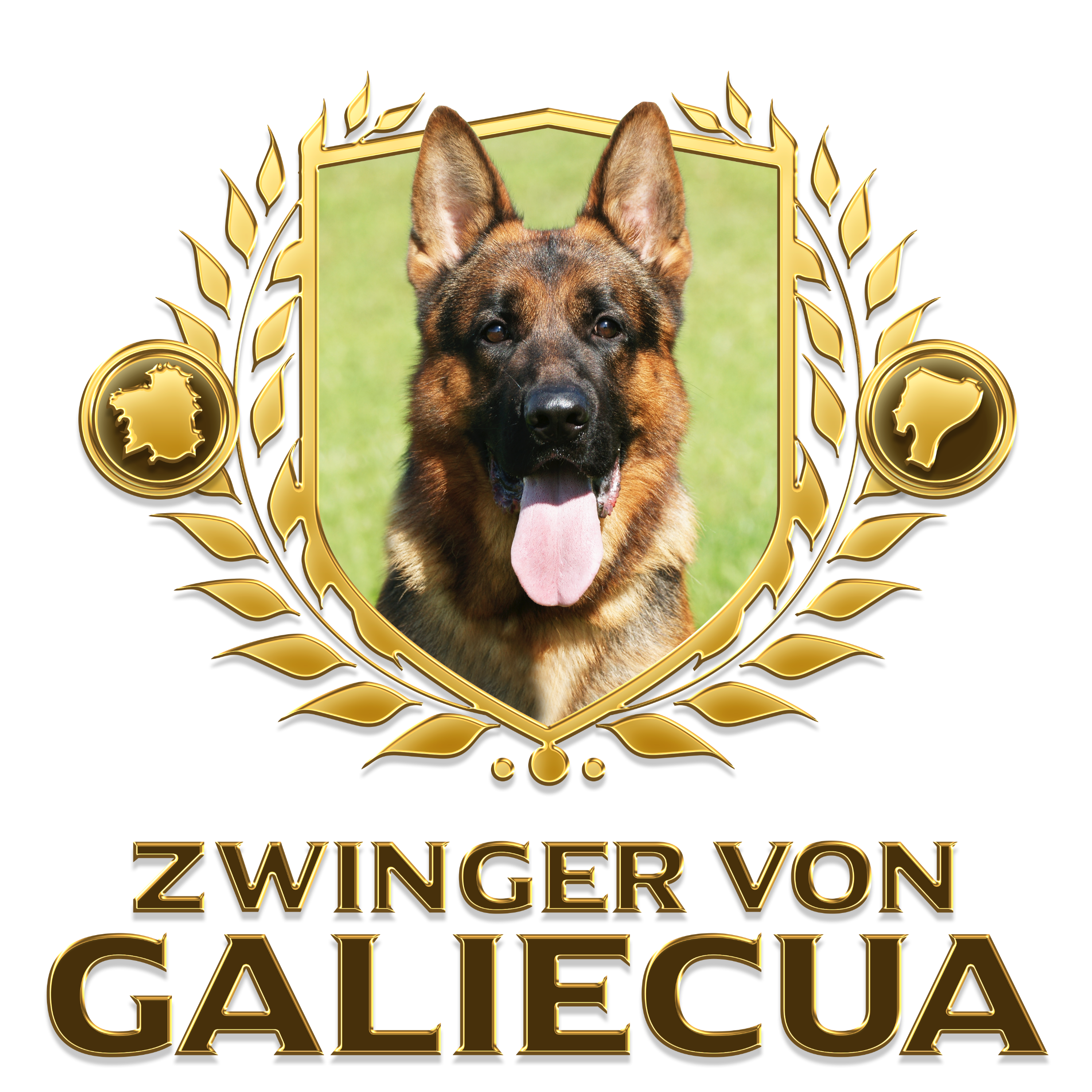 Diseño de marca para Zwinger Von Galiecua