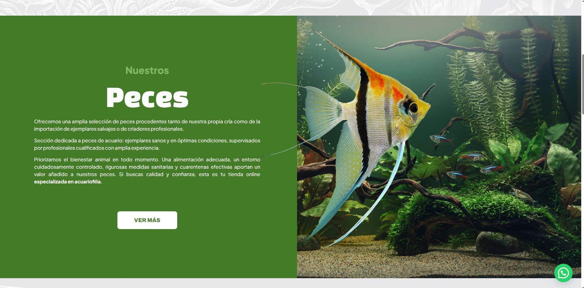 Pangea aquarium 2