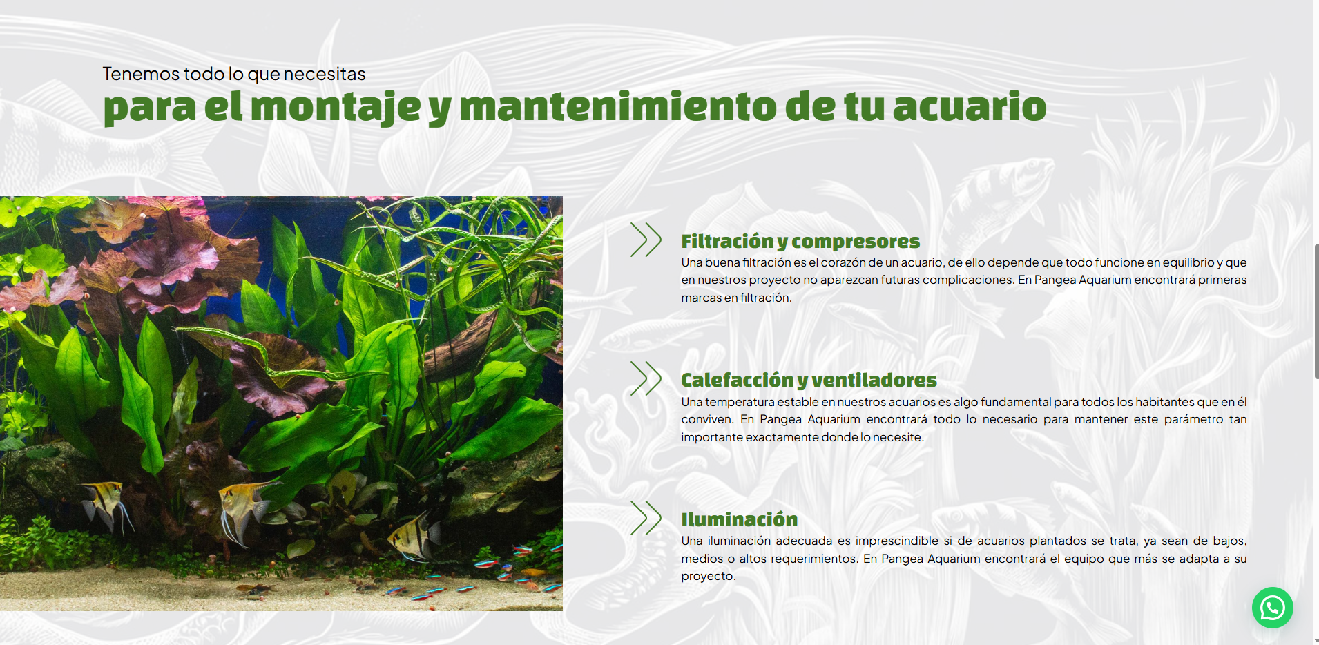 Pangea aquarium 3
