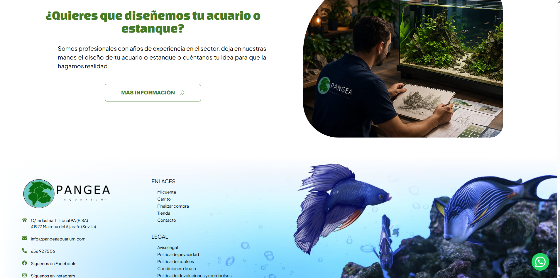 Pangea aquarium 5